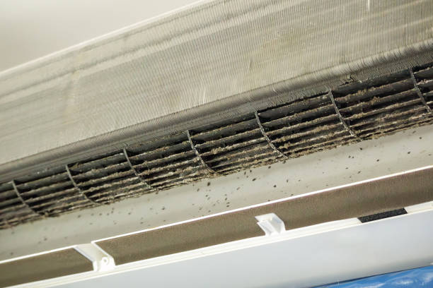 Best Local Air Duct Cleaning Services  in Country Club Estates, GA
